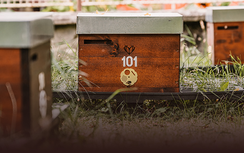 Vcelarstvivozdecti.cz