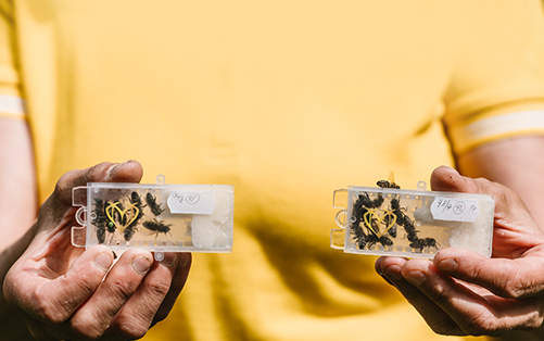 Vcelarstvivozdecti.cz