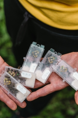 Včelí matka oplozená - SINGER F1 / červen 2026